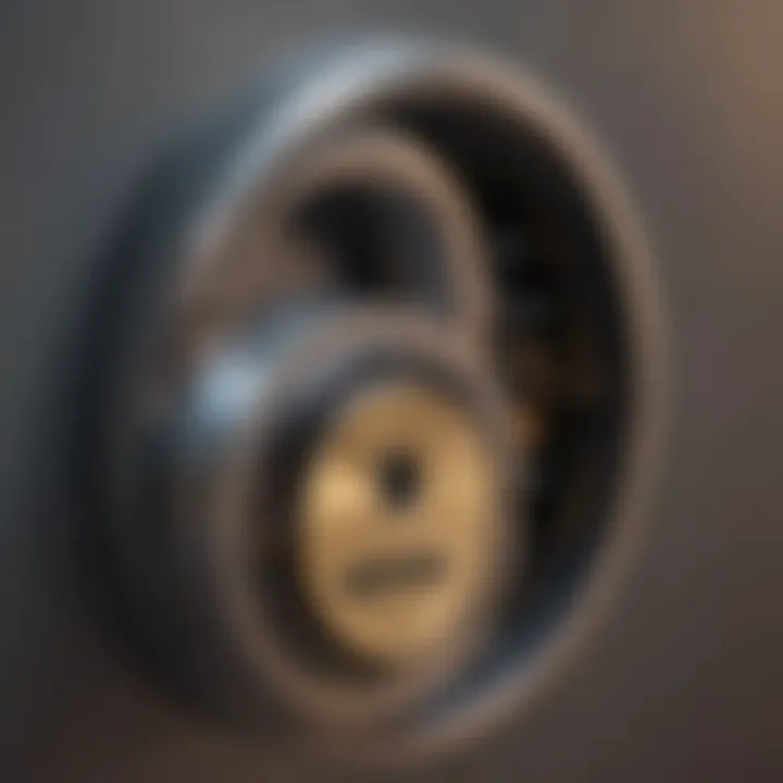 A conceptual image showing a digital lock symbolizing security in the digital age.