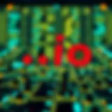 A visual representation of the .io domain signifying its tech-savvy appeal