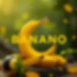 Illustration showcasing the Banano logo with its unique features